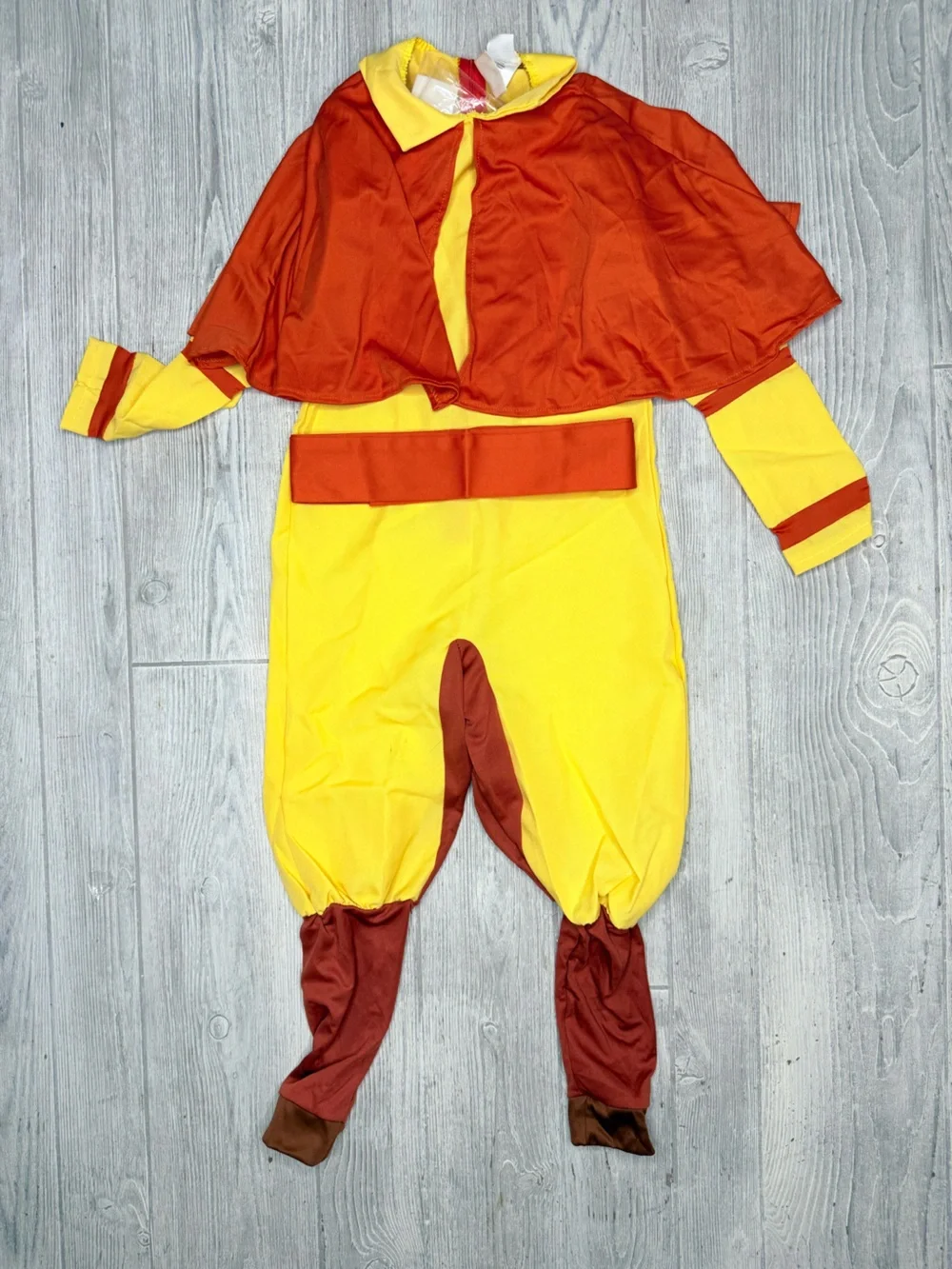 Halloween Costumes avatar aang